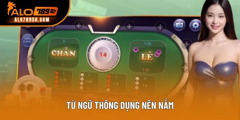 Từ ngữ thông dụng nên nắm