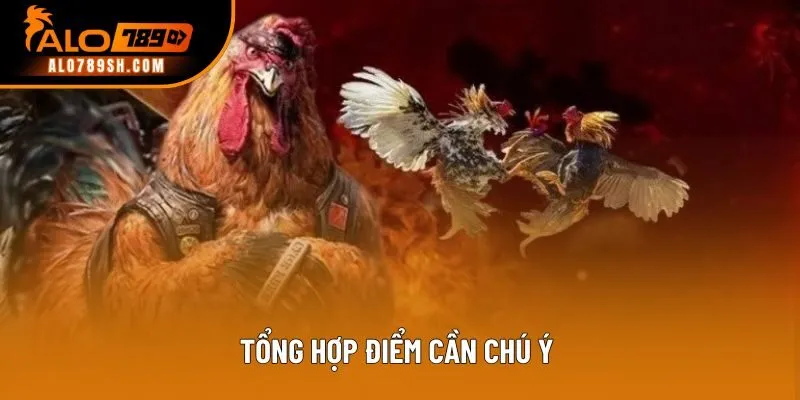 Tổng hợp điểm cần chú ý 