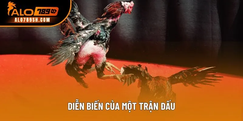 Diễn biến của một trận đấu