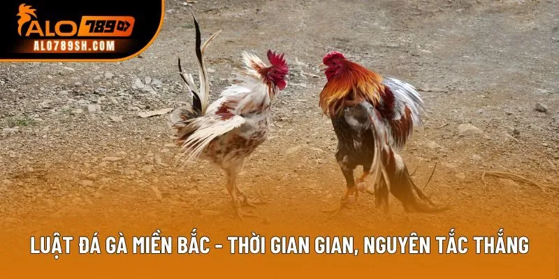 Luật Đá Gà Miền Bắc - Thời Gian, Nguyên Tắc Thắng Thua