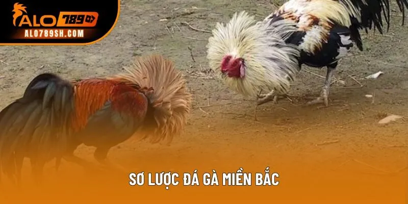 Sơ lược đá gà miền Bắc