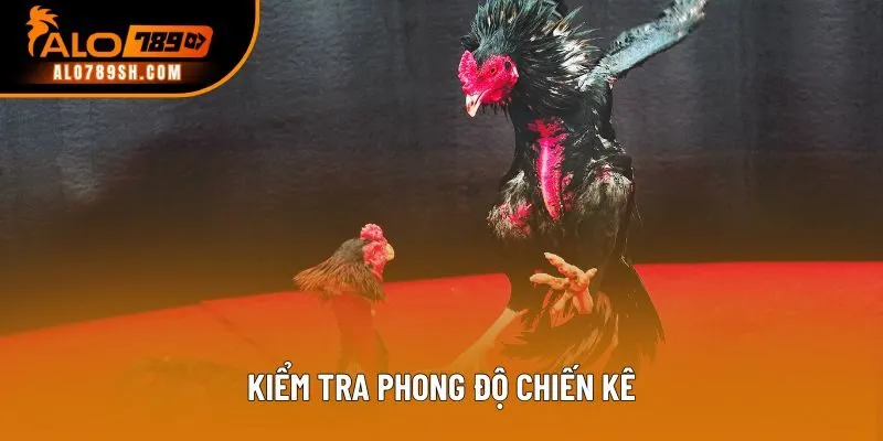 Kiểm tra phong độ chiến kê
